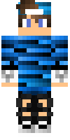 Скин по нику BlauerBaum