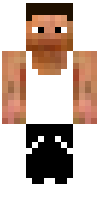 Скин по нику Blitc