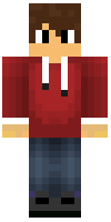 Скин по нику BloekeHero