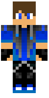 Скин по нику Blokmaster