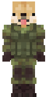 Скин по нику Borshch_5000