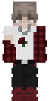 Скин по нику BoudyYT