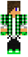 Скин по нику BraydenBie