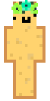 Скин по нику BreadXlab