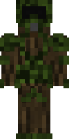 Скин по нику Brocaine_Bear