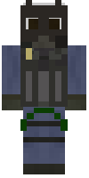 Скин по нику Budkill