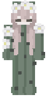 Скин по нику CaptainMow