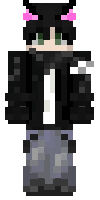Скин по нику CatBannGFlash