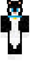 Скин по нику CatPaland
