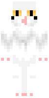 Скин по нику Catminecraft