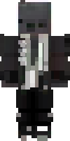Скин по нику Ch3rryFox