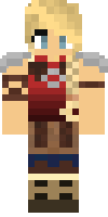 Скин по нику Champion