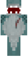 Скин по нику CoolShark