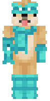 Скин по нику Coolwoobyer