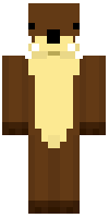 Скин по нику CraftaMetaKnight