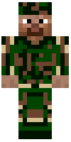 Скин по нику Crepper_2001