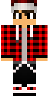 Скин по нику Cryter