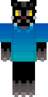 Скин по нику Cyporg