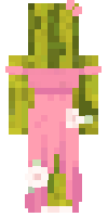 Скин по нику DMinecraftr_VM