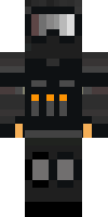 Скин по нику DPaladin234