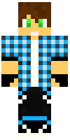 Скин по нику DarkGamerPTT