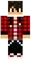 Скин по нику DarkMageGameur