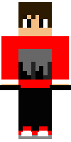 Скин по нику DarkWolf32_YT