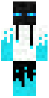 Скин по нику DashCh