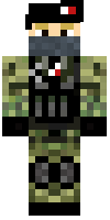 Скин по нику Den321