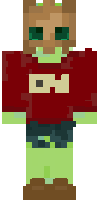 Скин по нику Derlord3