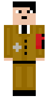 Скин по нику DidlyPlay