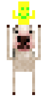 Скин по нику Diechewood4