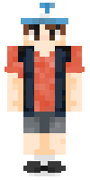 Скин по нику DipperPines