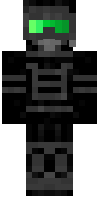 Скин по нику DoctorWhom71