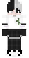 Скин по нику DrPanda____