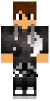 Скин по нику DragonRoy
