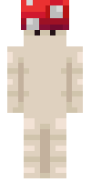 Скин по нику Drizzer