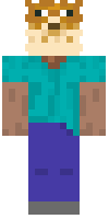 Скин по нику DylanSkin