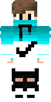 Скин по нику EcologicSnake1
