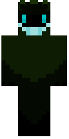 Скин по нику Elfy