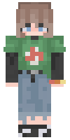 Скин по нику Elrinn