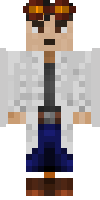 Скин по нику Enderr