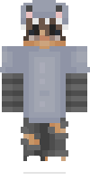 Скин по нику Ethinus