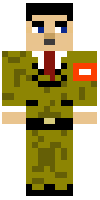 Скин по нику Fabrielgamer