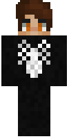 Скин по нику FlaITHEnMC