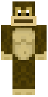 Скин по нику FlareWalker