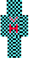 Скин по нику FlartZ