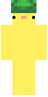 Скин по нику Flashduck