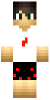 Скин по нику Fox_Gamer