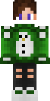 Скин по нику Frozen_n1
